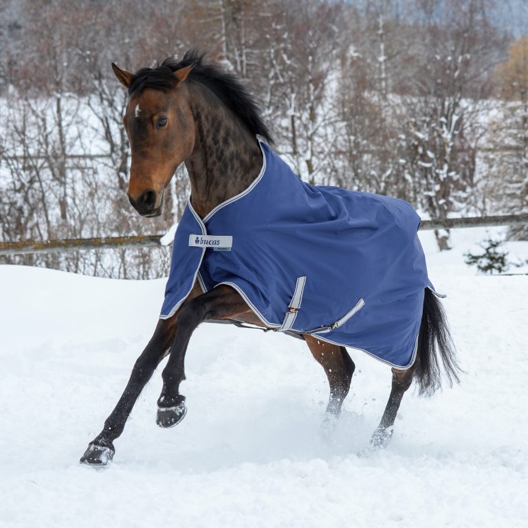 Winter Riding Wisdom from EquiOpulence: 5 Tips for Keeping Warm