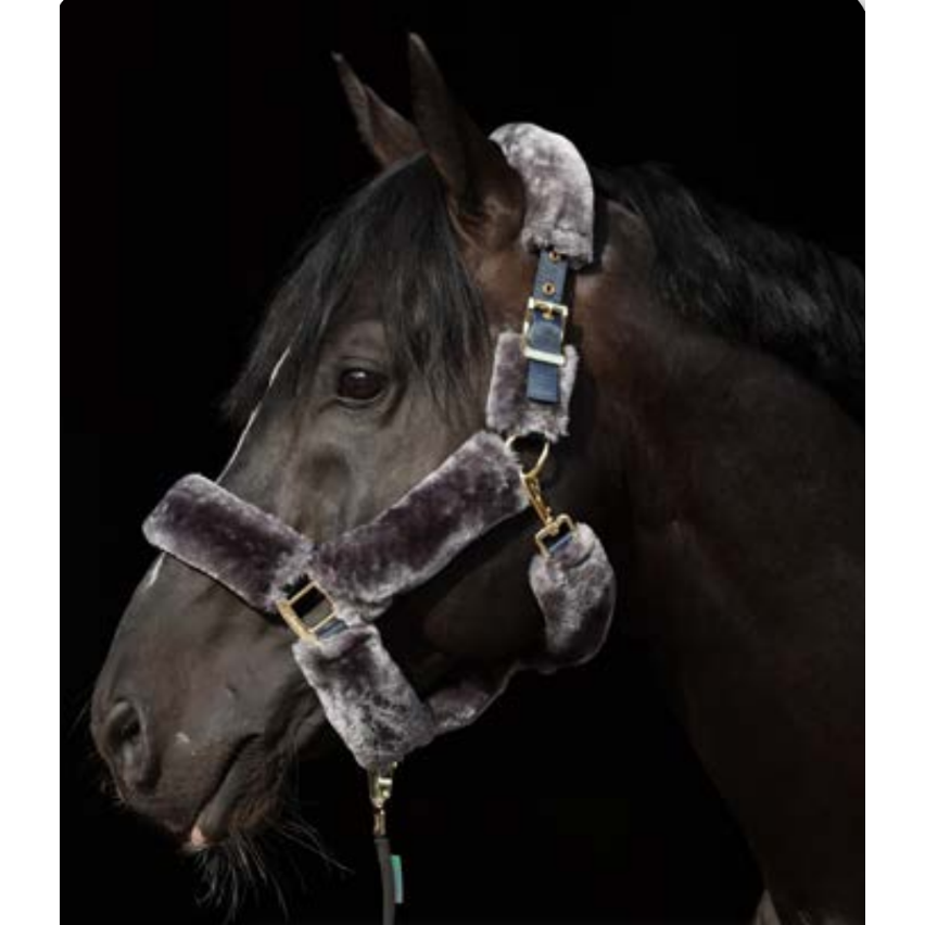 Bucas Show Line - Full Fur Headcollar - EquiOpulence