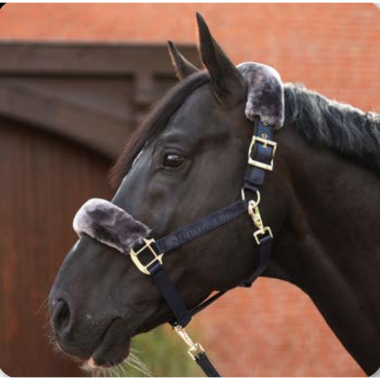 Bucas Show Line Half Fur Headcollar - EquiOpulence