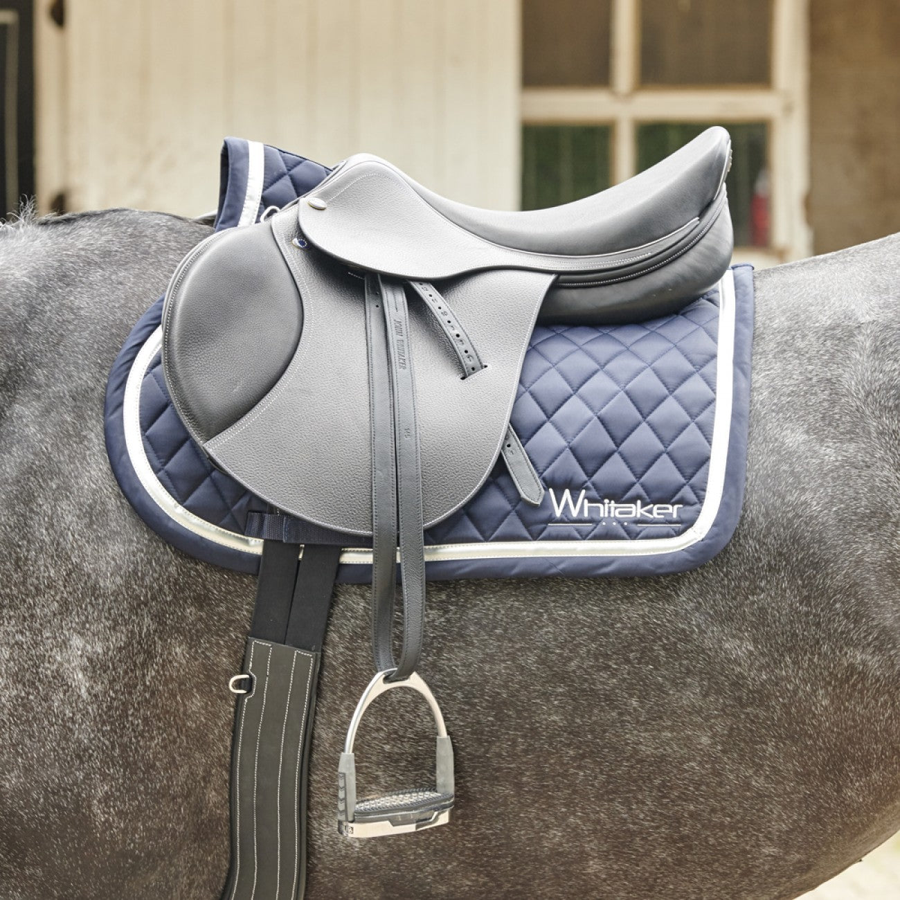 Whitaker Argento Pro Jumping Saddle - EquiOpulence