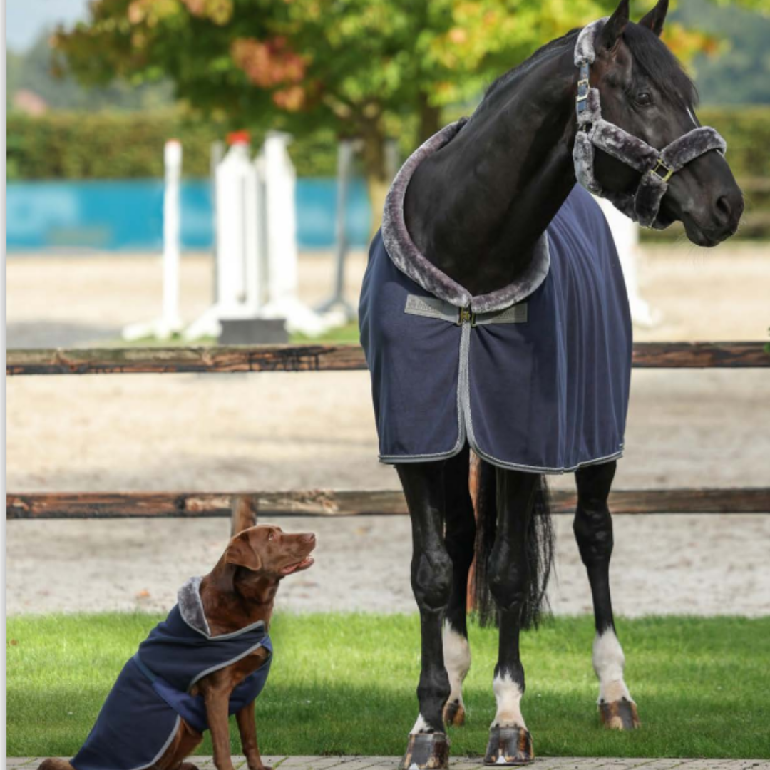 Bucas Show Line Dog Rug - EquiOpulence