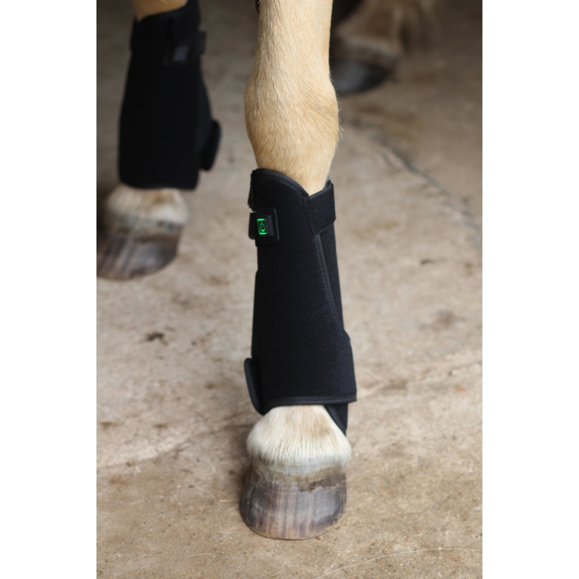 CTS IC Light Hesturin Leg Wraps (Pair) - EquiOpulence