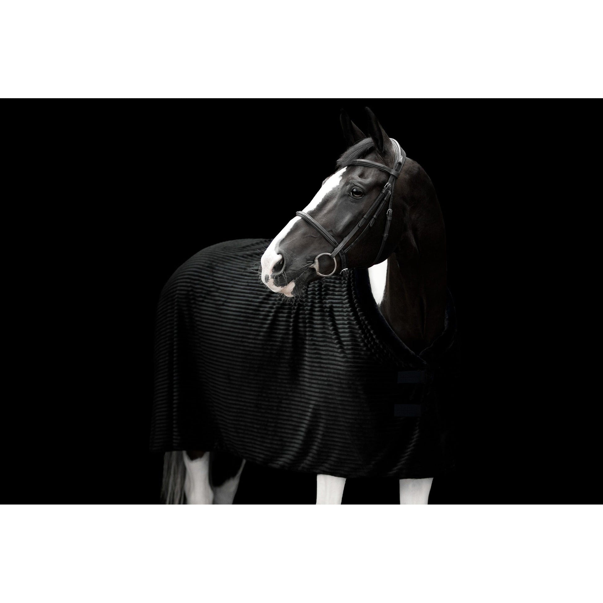 Estrelle Luxury Rug - EquiOpulence