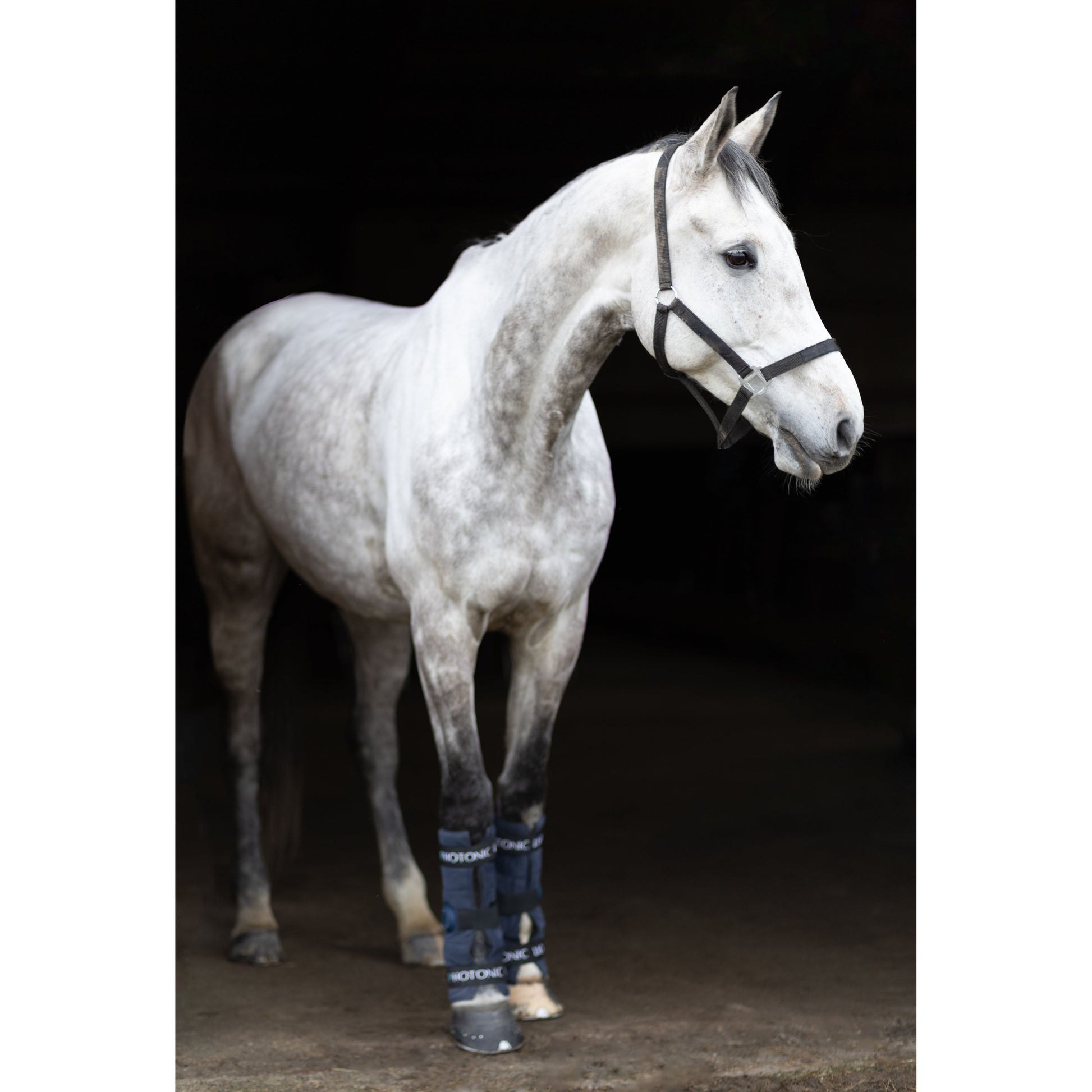 CTS - LegLIGHT S2 Photonic Light Wraps (Pair) - EquiOpulence