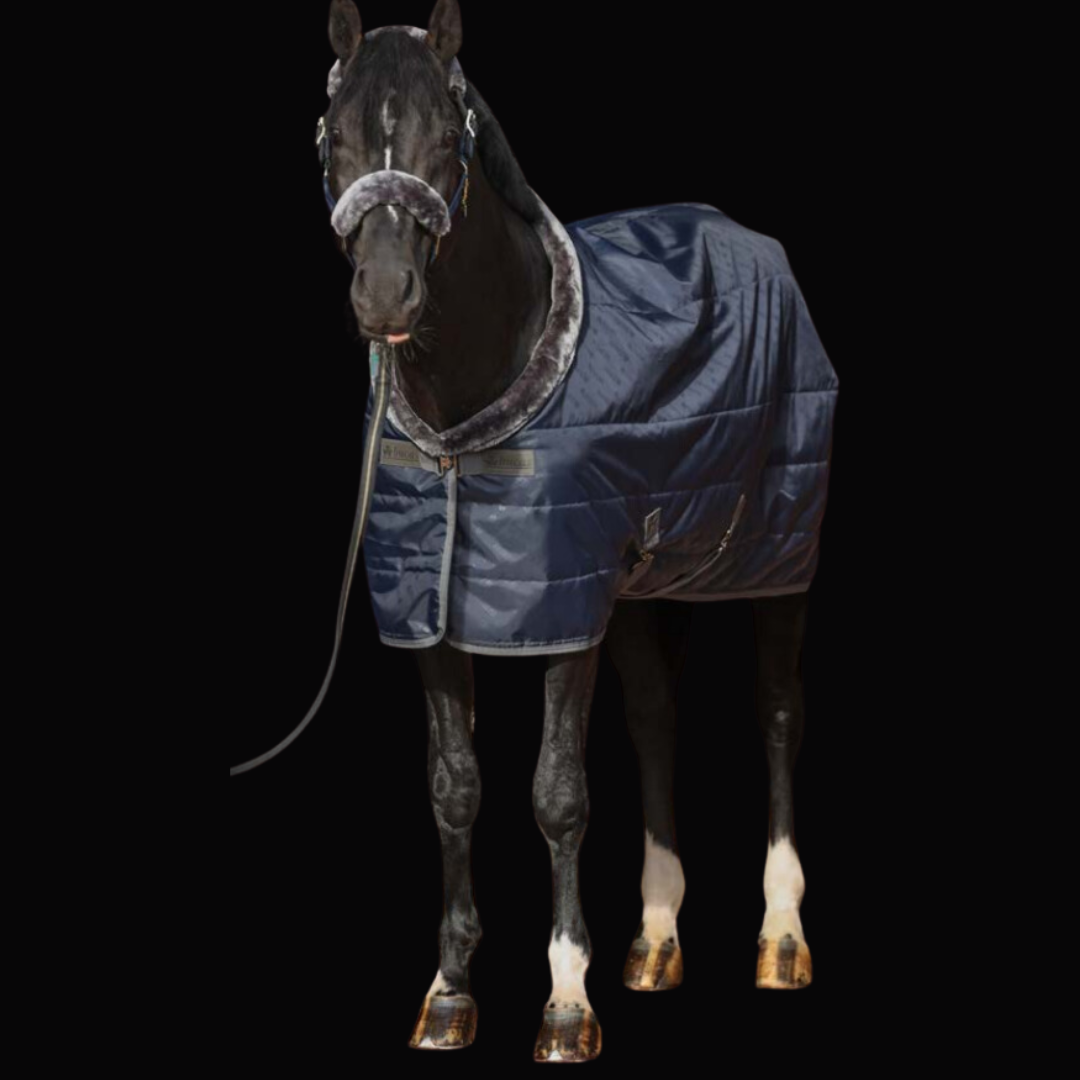 Bucas Show Line Stable Rug - EquiOpulence