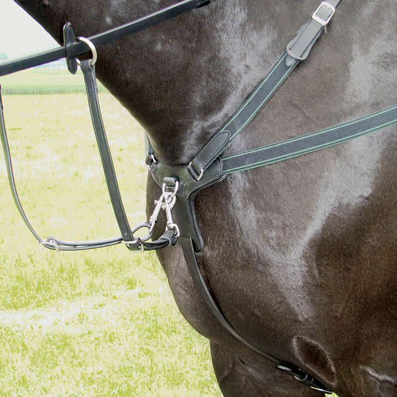 Amerigo Combination Breastplate - EquiOpulence