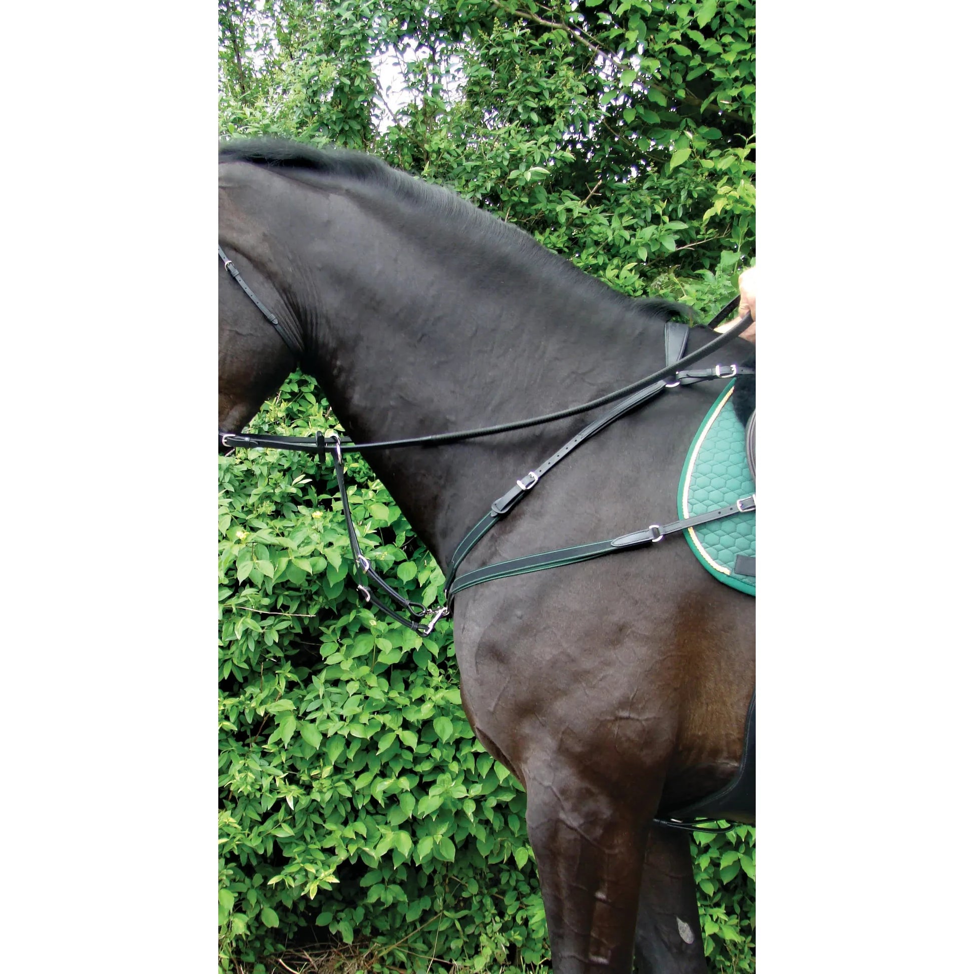 Amerigo Combination Breastplate - EquiOpulence