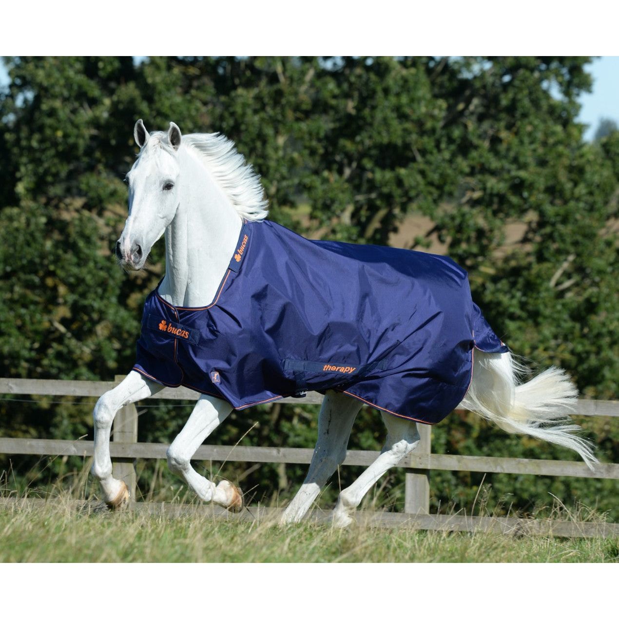 Bucas Recuptex Therapy Rug - Turnout - 300g - EquiOpulence