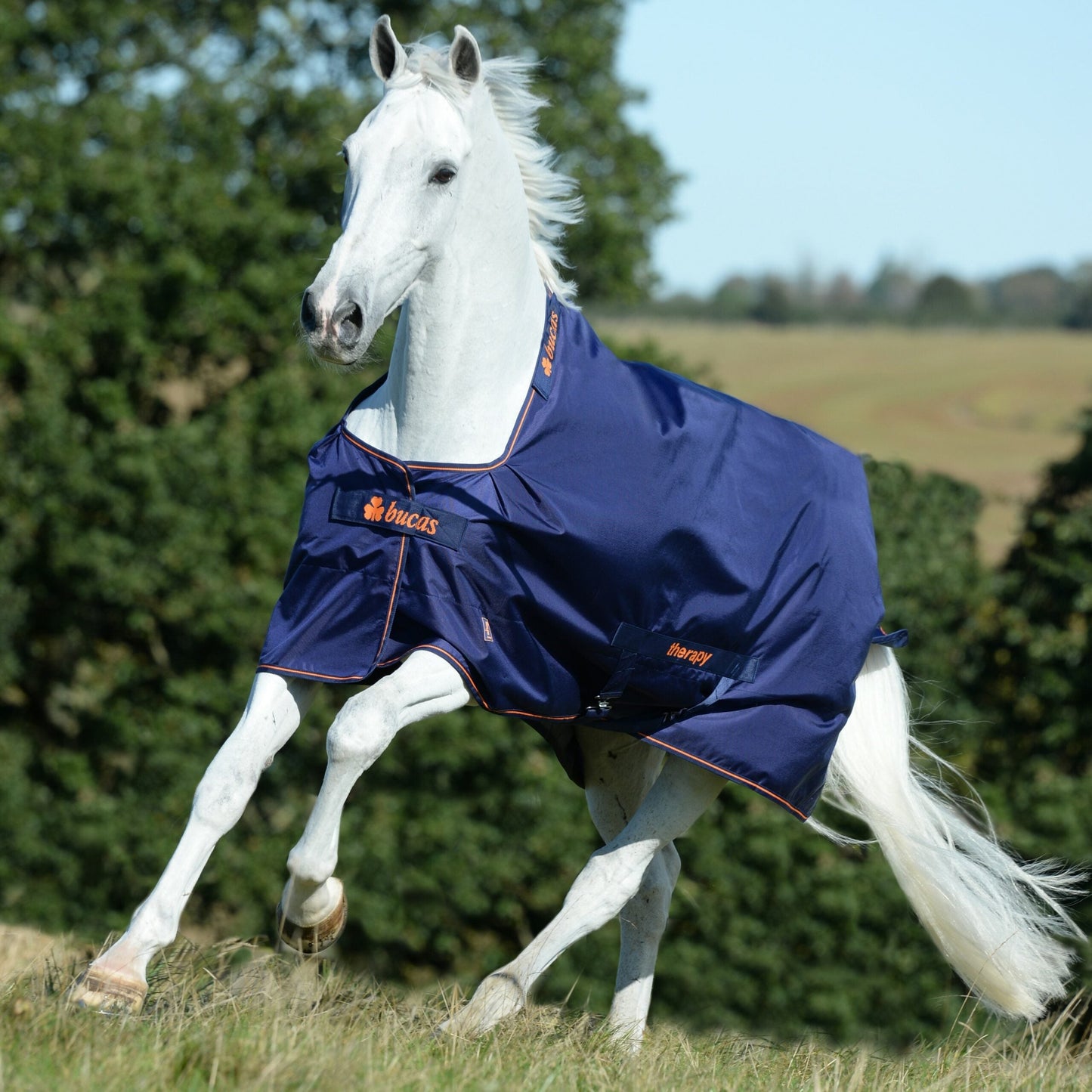 Bucas Recuptex Therapy Rug - Turnout - 300g - EquiOpulence