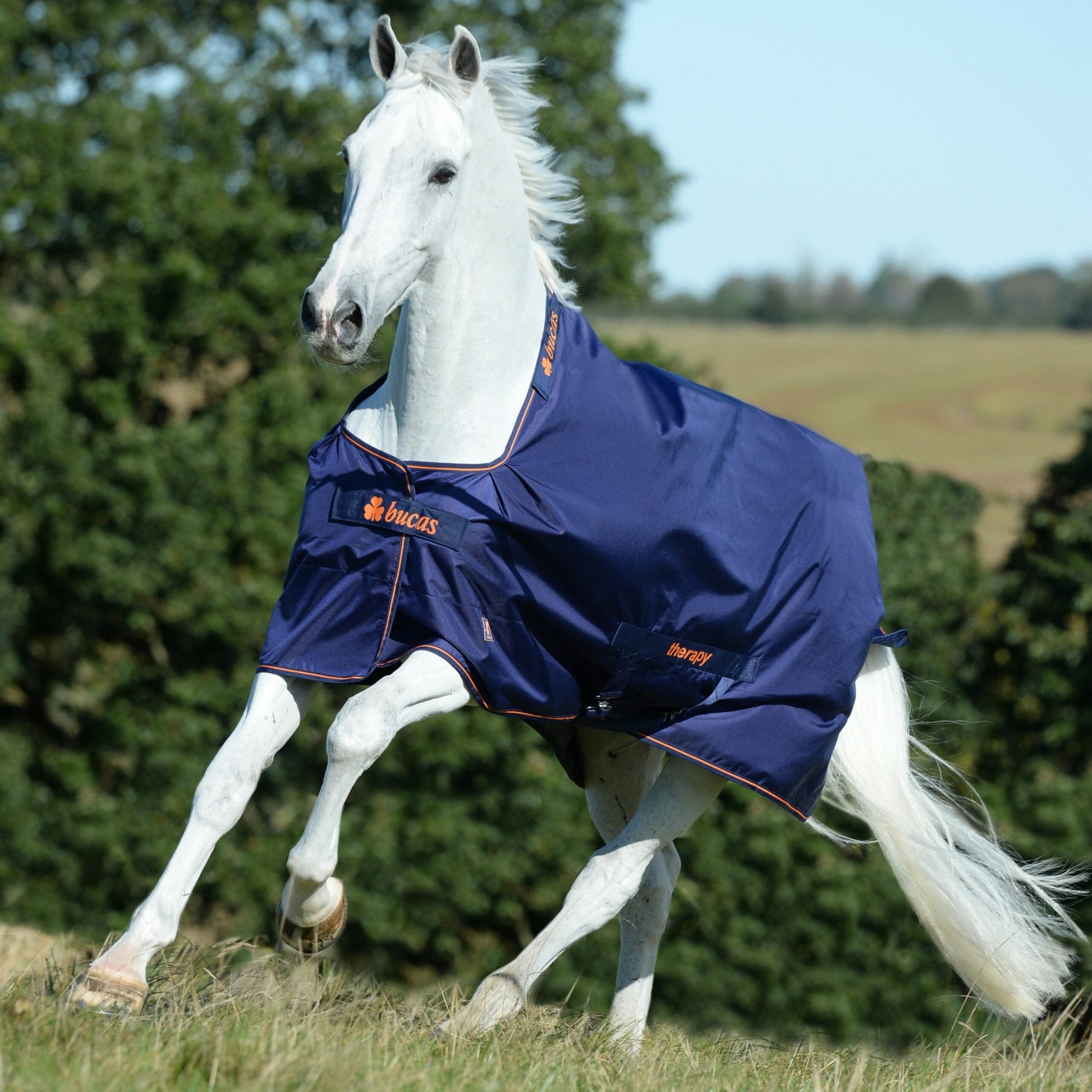 Bucas Recuptex Therapy Rug - Turnout - 300g - EquiOpulence