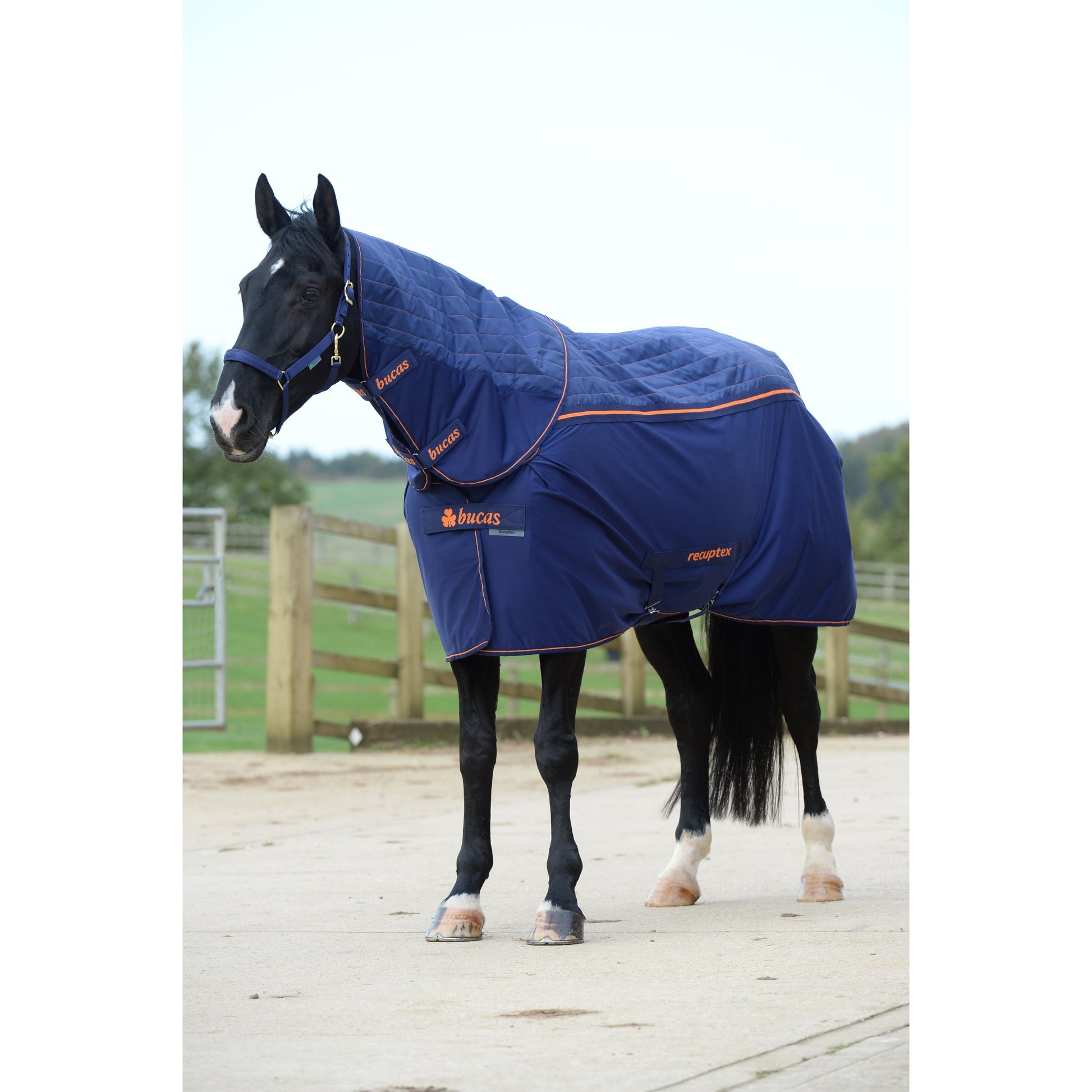 Bucas Recuptex Therapy Rug - Turnout - Neck Cover - EquiOpulence