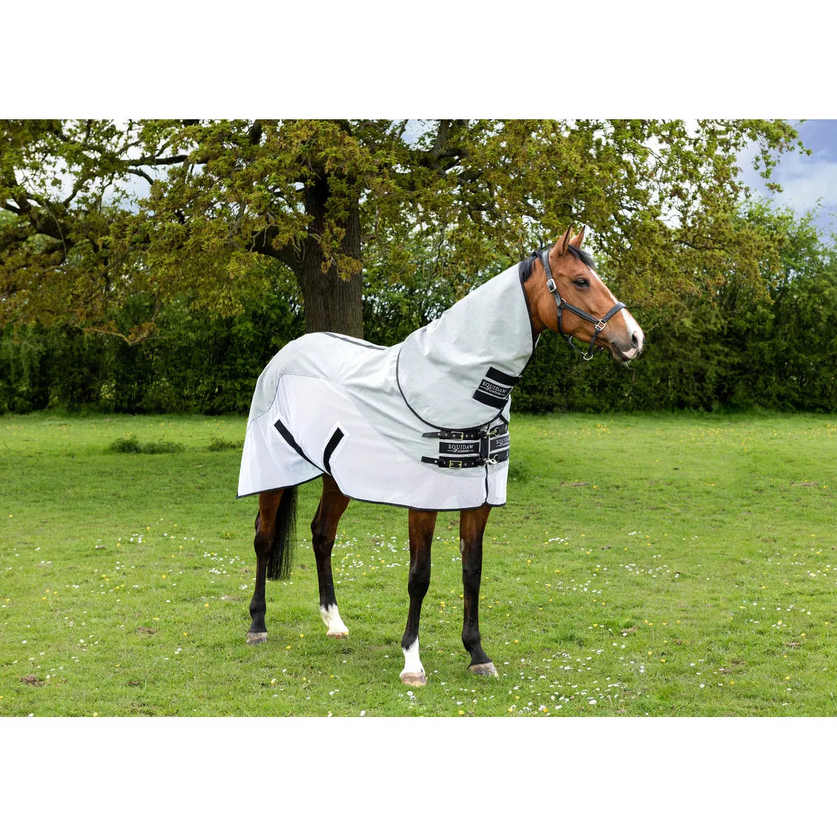 EquiDaw of London - Luxury Cooling Rug - EquiOpulence