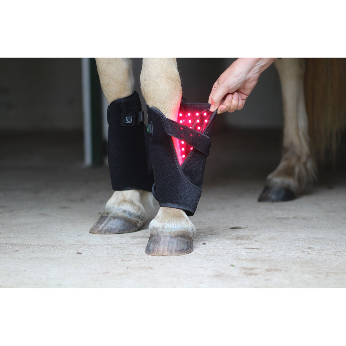 CTS IC Light Hesturin Leg Wraps (Pair) - EquiOpulence