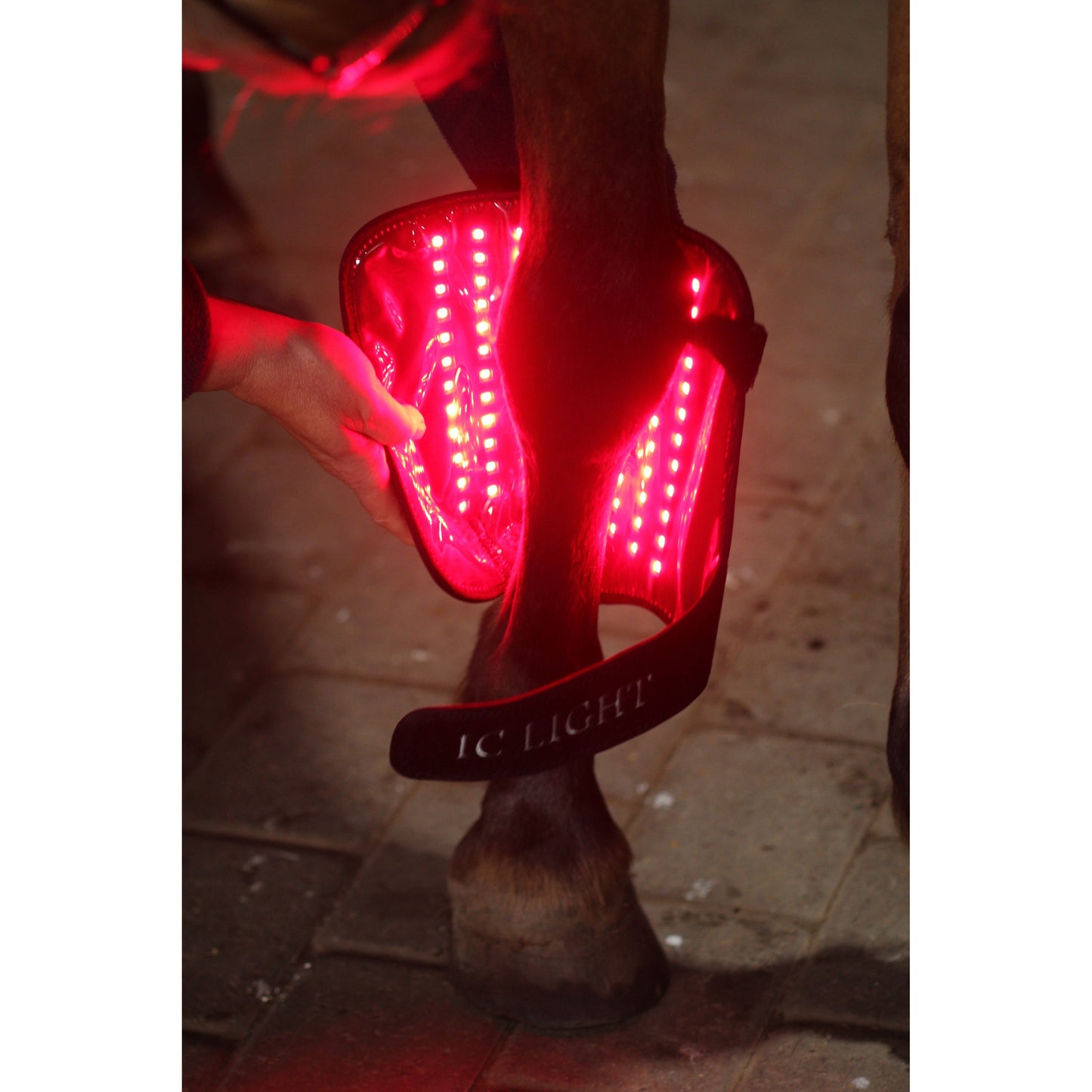 CTS IC Light Hesturin Leg Wraps (Pair) - EquiOpulence