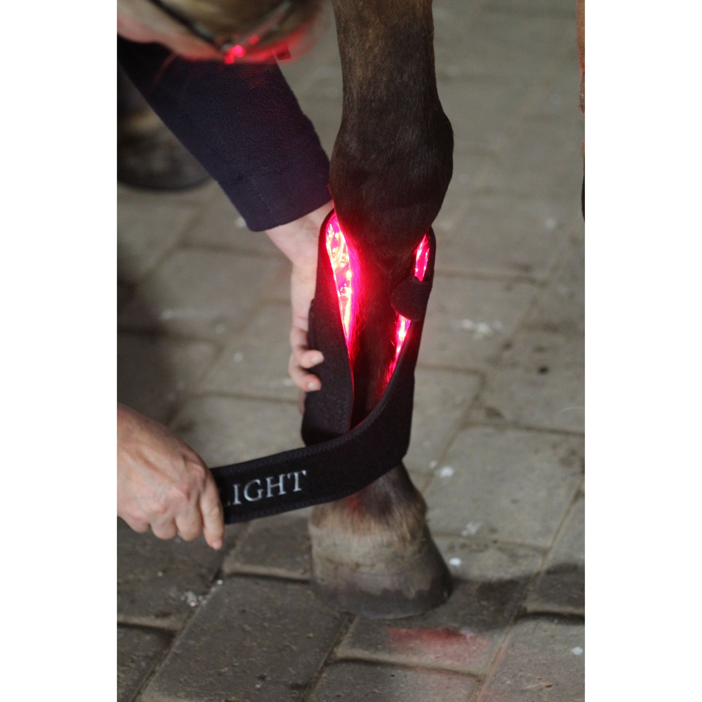 CTS IC Light Hesturin Leg Wraps (Pair) - EquiOpulence