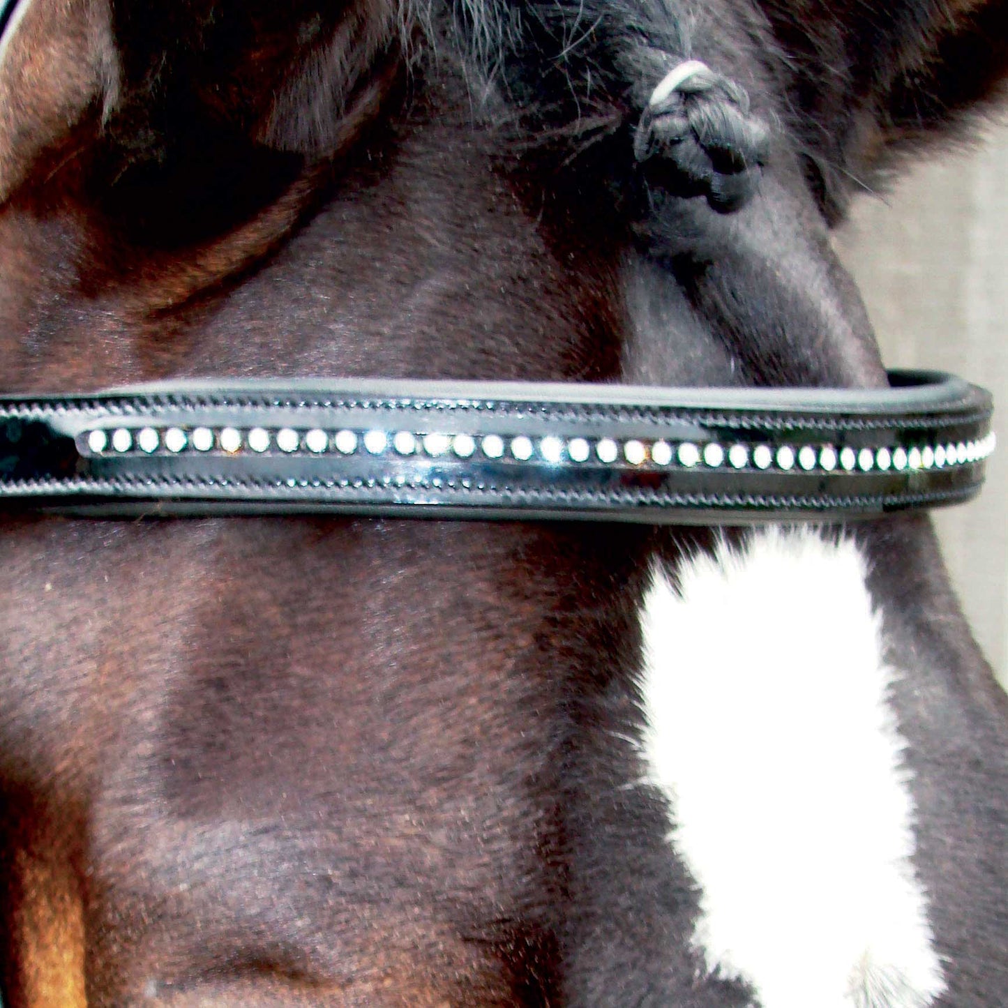 Vespucci Patent Browband with Swarovski Crystals - EquiOpulence