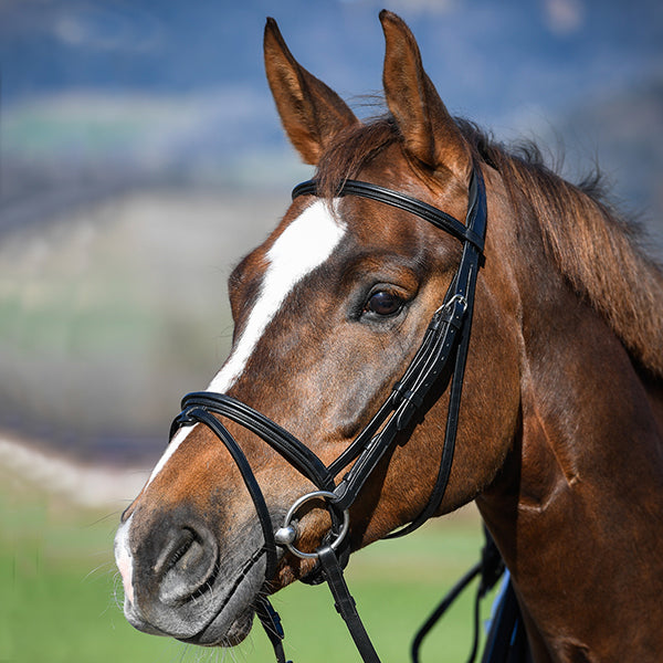 Vespucci Flash Bridle - EquiOpulence