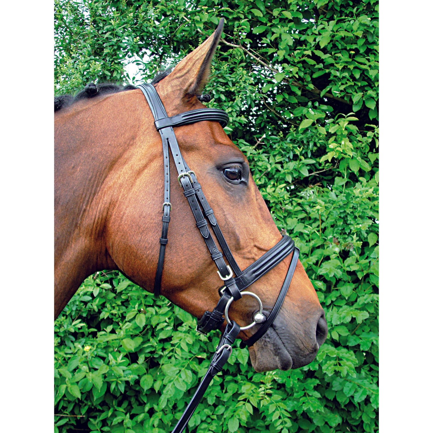 Vespucci Snaffle Bridle - EquiOpulence