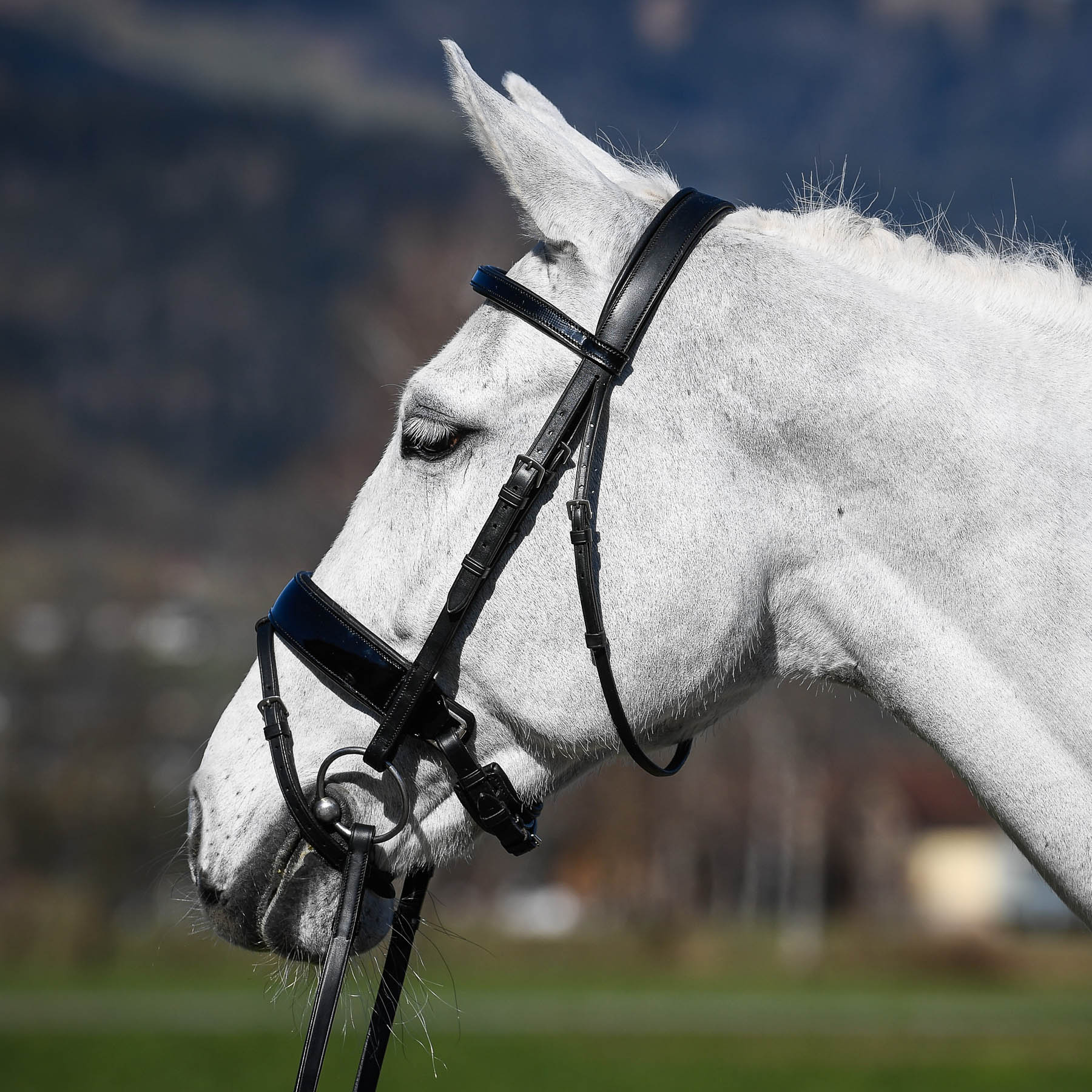 Vespucci Patent Black Bridle - EquiOpulence